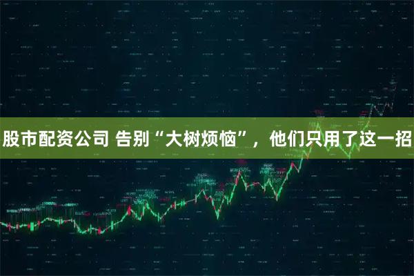 股市配资公司 告别“大树烦恼”，他们只用了这一招