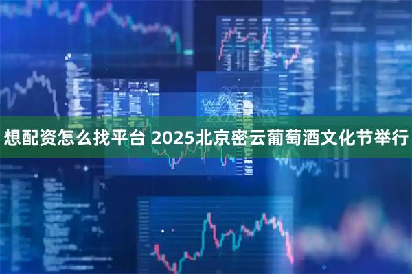 想配资怎么找平台 2025北京密云葡萄酒文化节举行